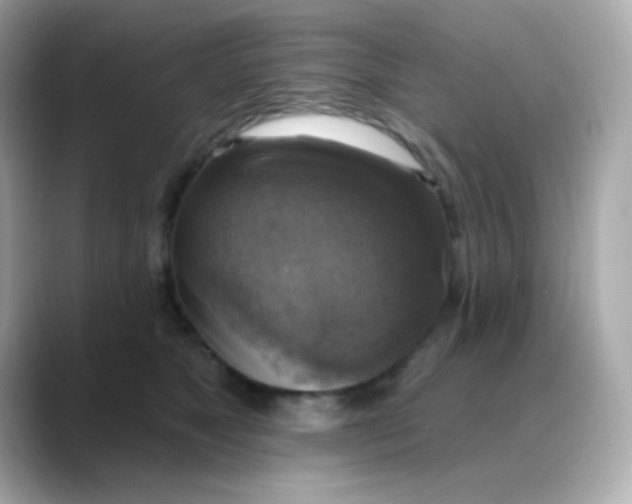 X0000088390517200706051120