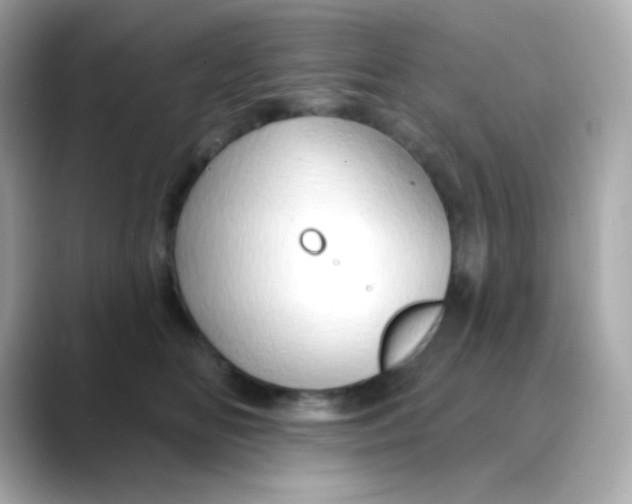 X0000088390518200706051120