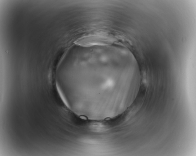 X0000088390519200706051120