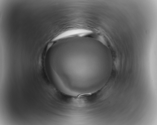 X0000088390520200706051120