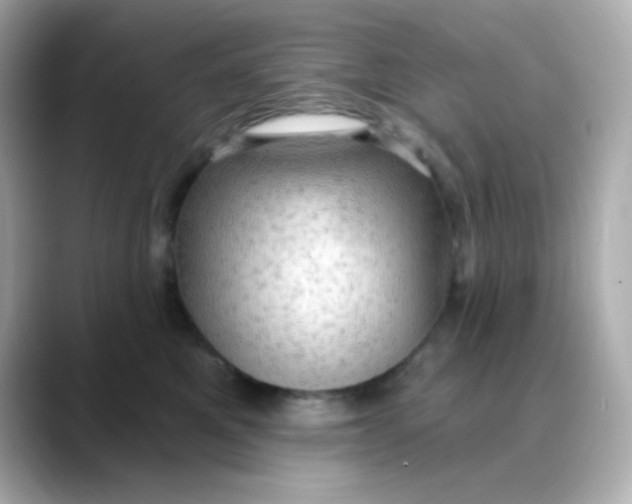 X0000088390521200706051120