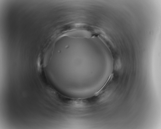 X0000088390524200706051120