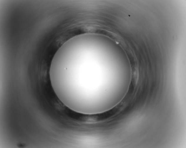 X0000088390525200706051120