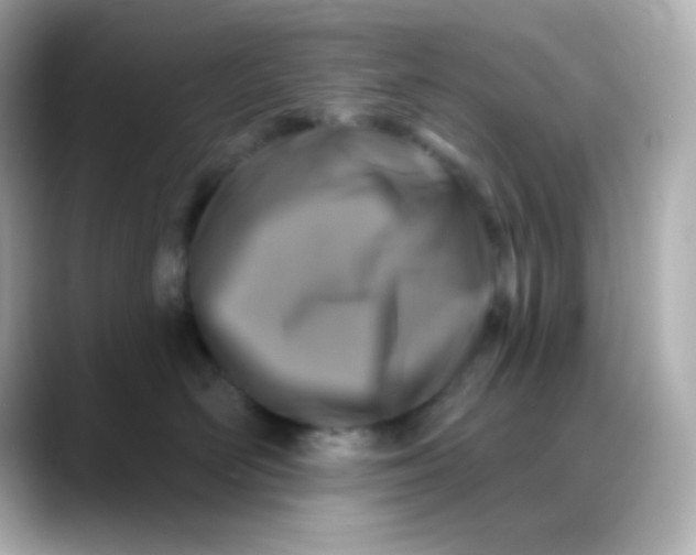 X0000088390526200706051120