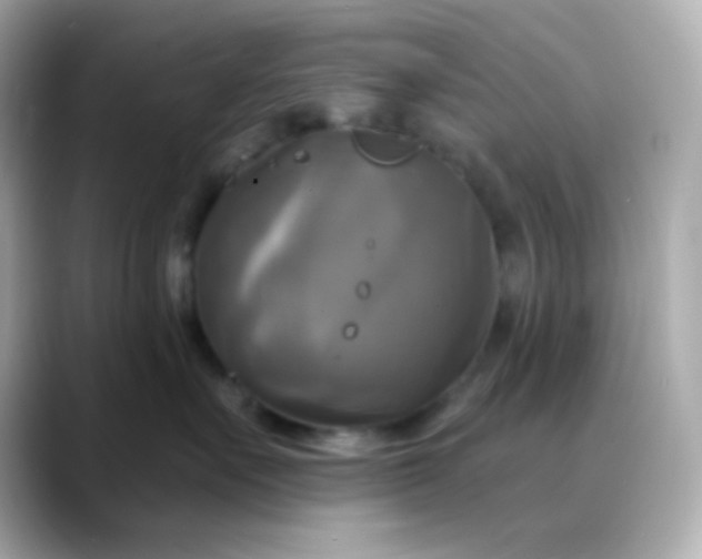 X0000088390527200706051120