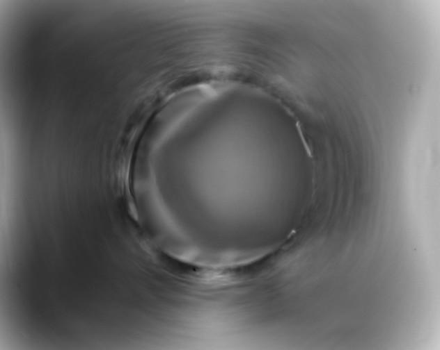 X0000088390528200706051120