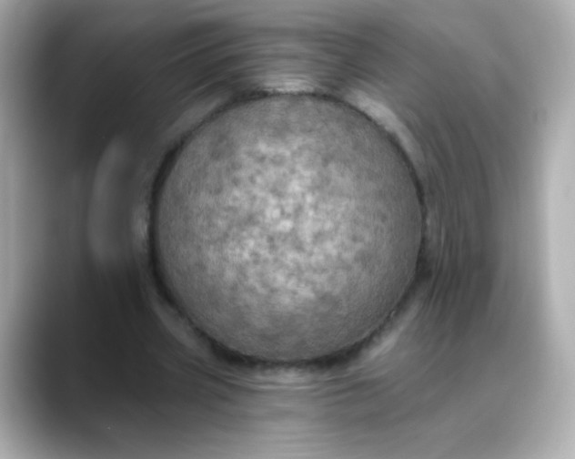 X0000088390533200706051119