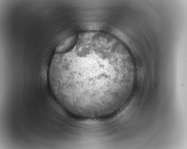 X0000088390537200706051119