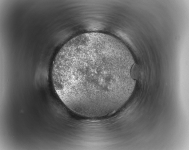 X0000088390539200706051119