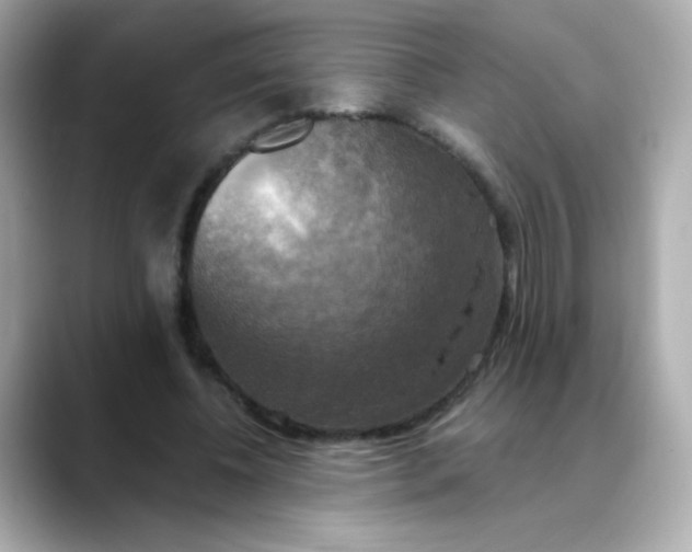 X0000088390540200706051119