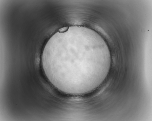 X0000088390541200706051119