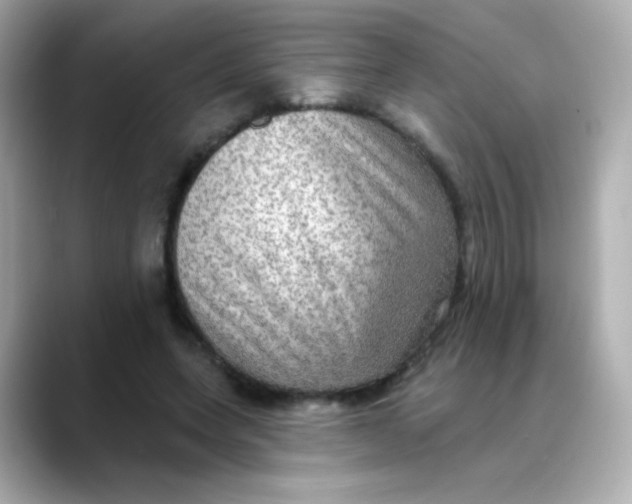 X0000088390543200706051119