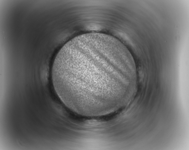 X0000088390544200706051119