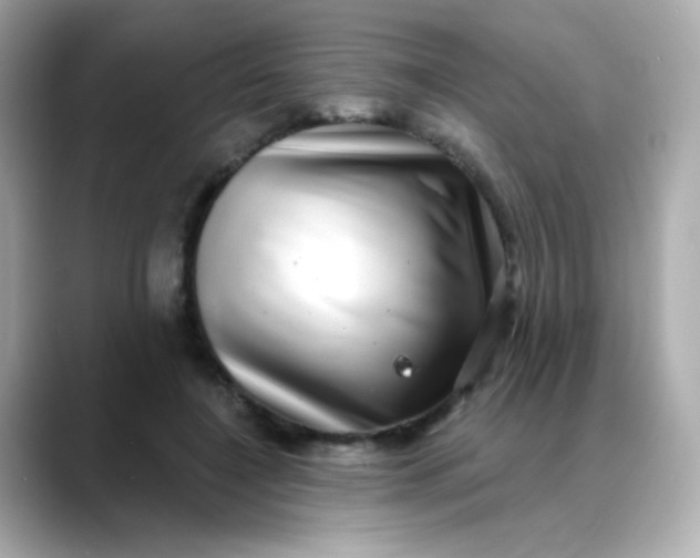 X0000088390548200706051119