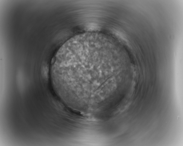 X0000088390550200706051119