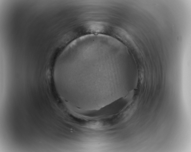 X0000088390551200706051119