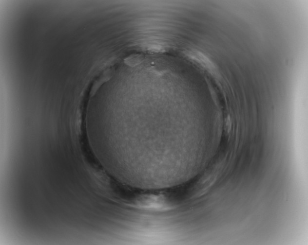 X0000088390552200706051119