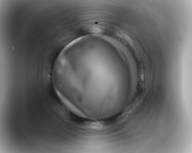 X0000088390553200706051119