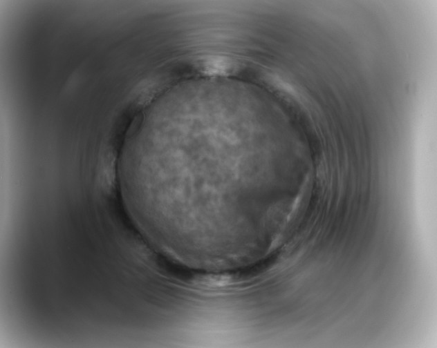 X0000088390554200706051119