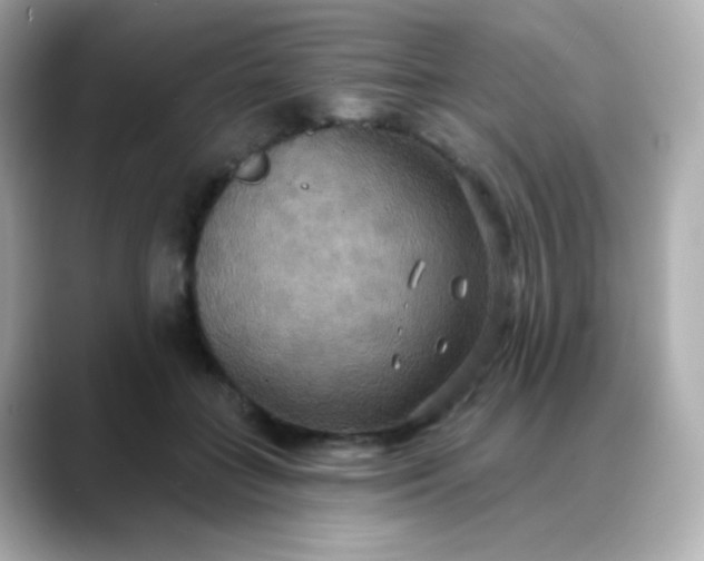 X0000088390555200706051119