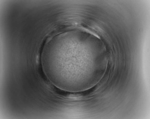 X0000088390556200706051119