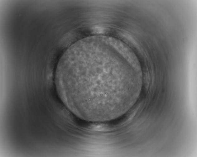 X0000088390557200706051119