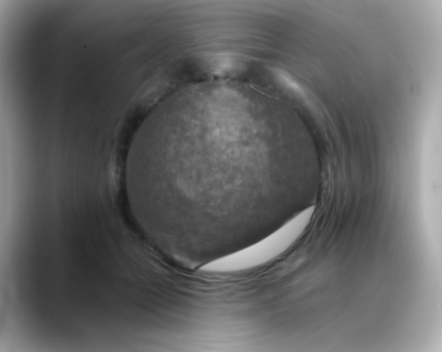 X0000088390558200706051119