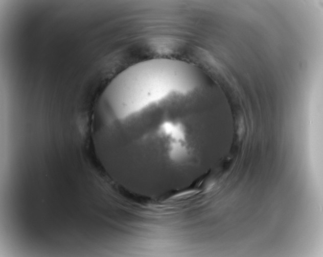 X0000088390559200706051119