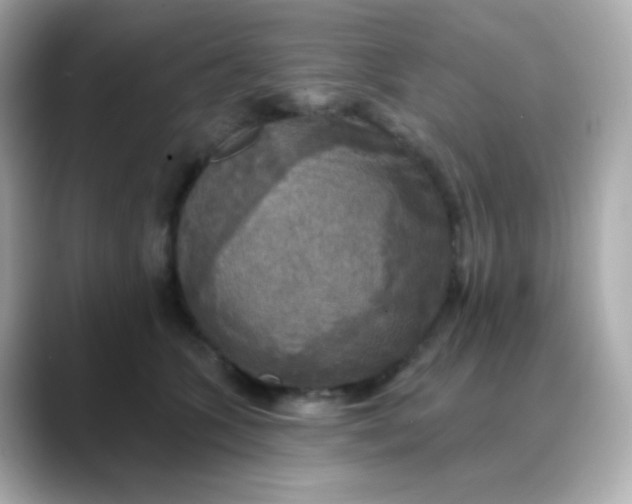 X0000088390563200706051119