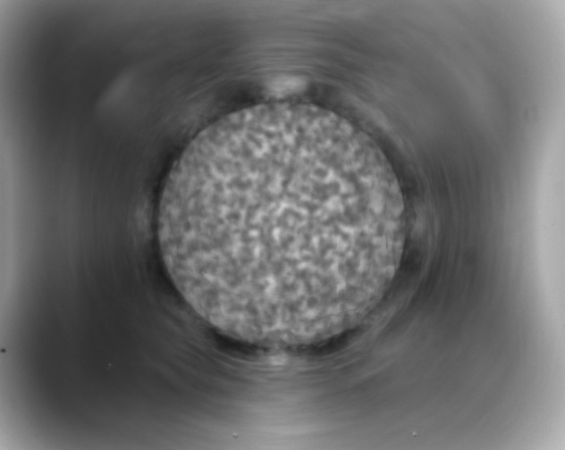 X0000088390565200706051119