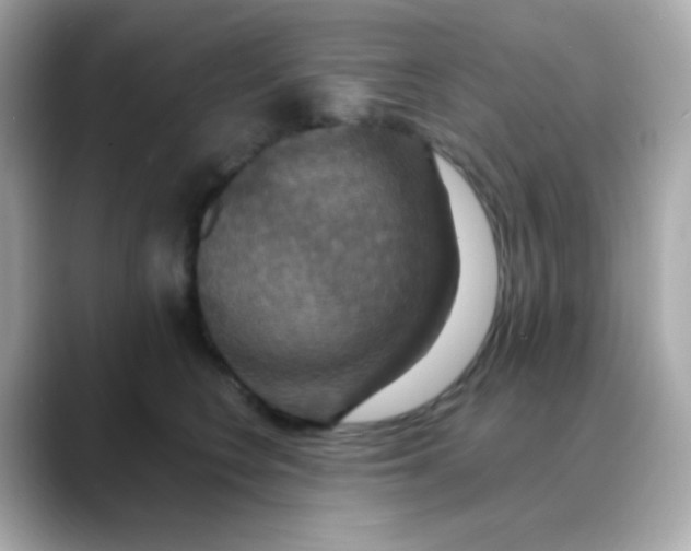 X0000088390566200706051119