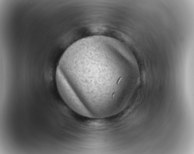 X0000088390567200706051119