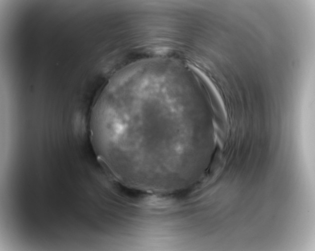 X0000088390568200706051119