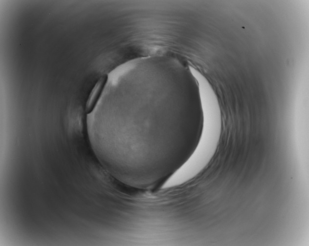 X0000088390570200706051119