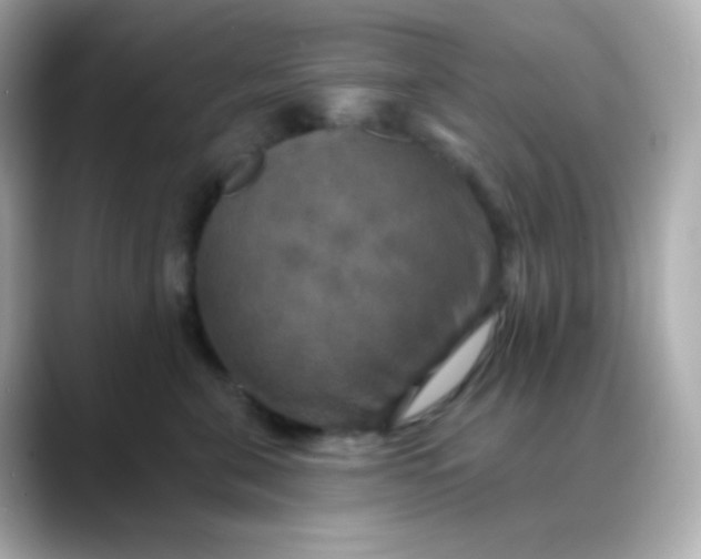 X0000088390571200706051119