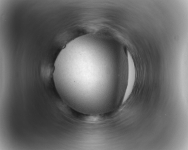 X0000088390574200706051120