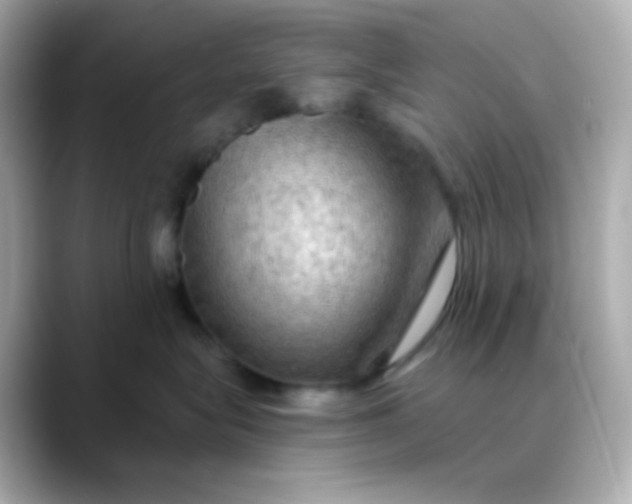 X0000088390575200706051120