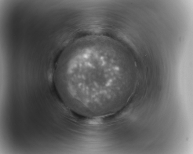 X0000088390576200706051120