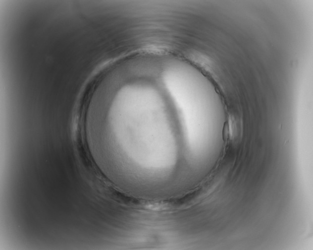 X0000088390579200706051119