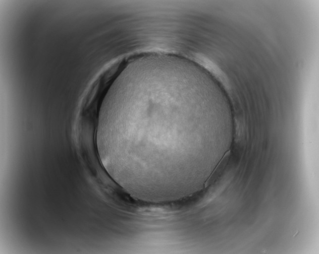 X0000088390580200706051119