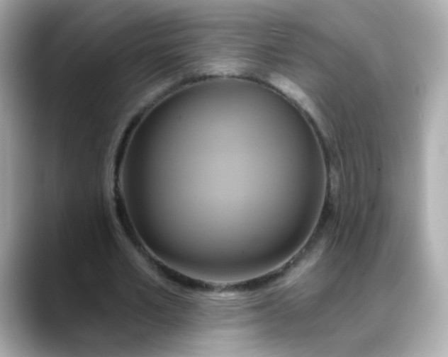 X0000088390581200706051119