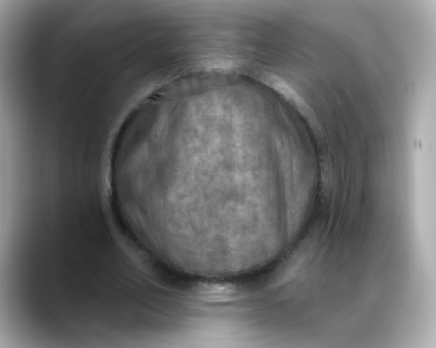 X0000088390582200706051119