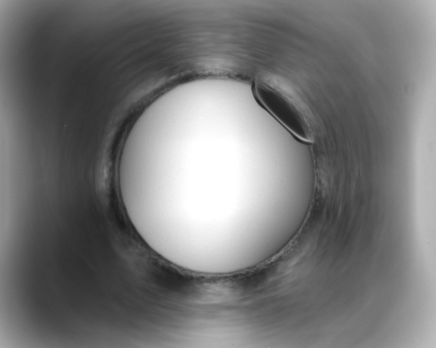 X0000088390583200706051119