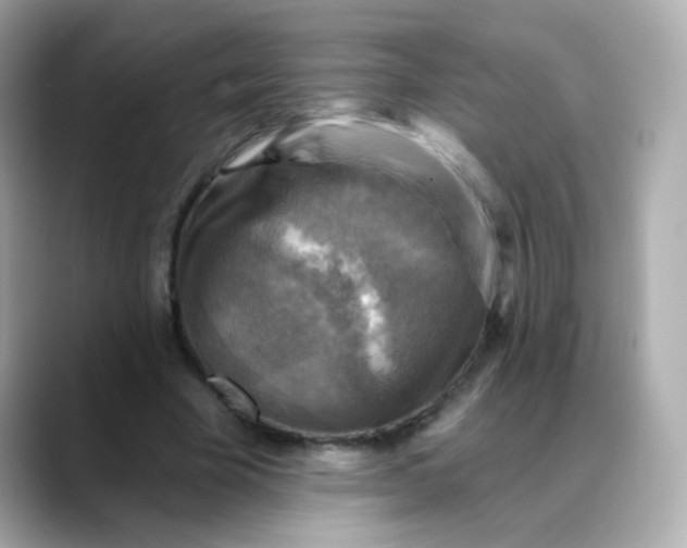 X0000088390585200706051119