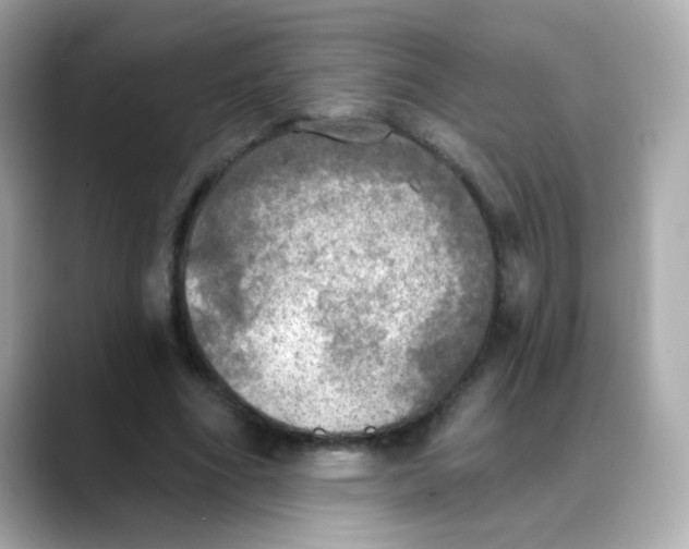 X0000088390586200706051119