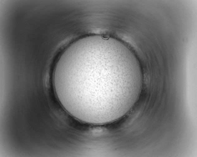 X0000088390587200706051119