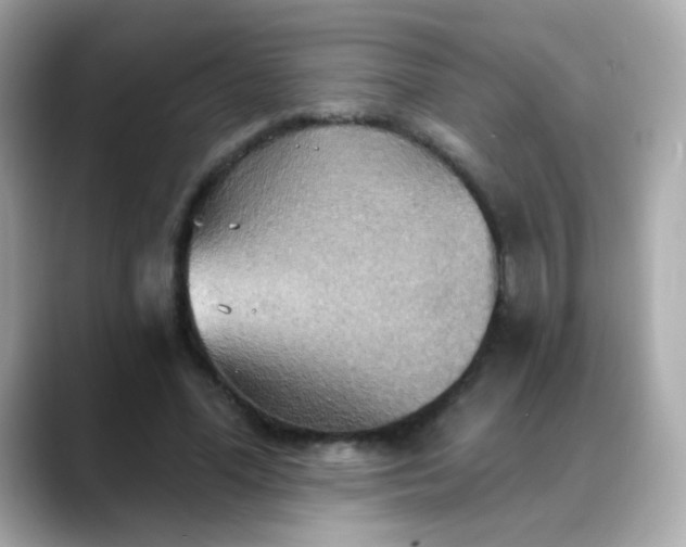 X0000088390588200706051119