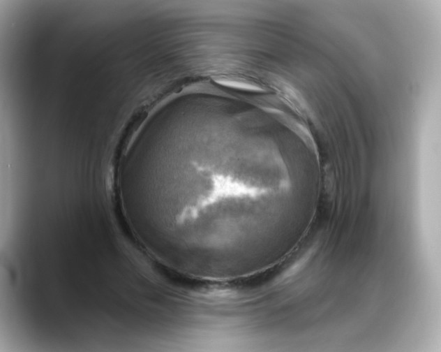 X0000088390589200706051119