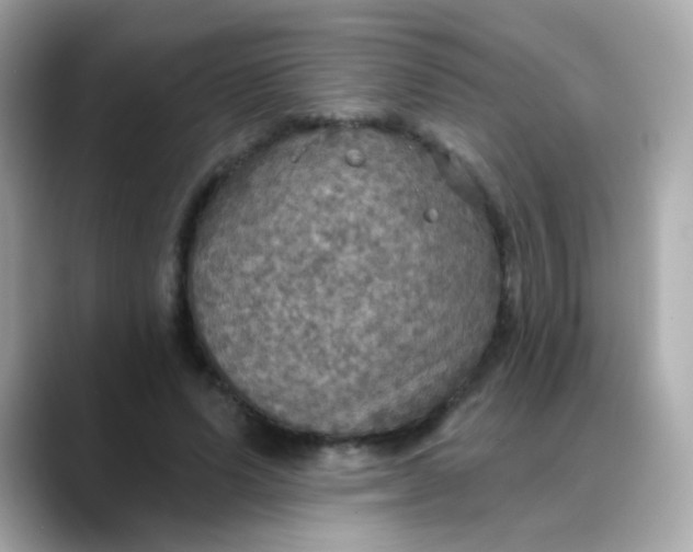 X0000088390591200706051119