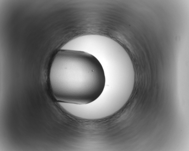 X0000088390593200706051119